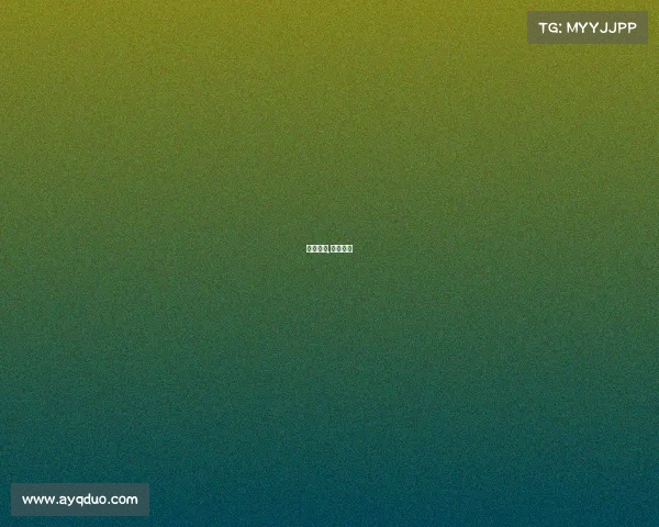 赛事赛绩,赛事赛制